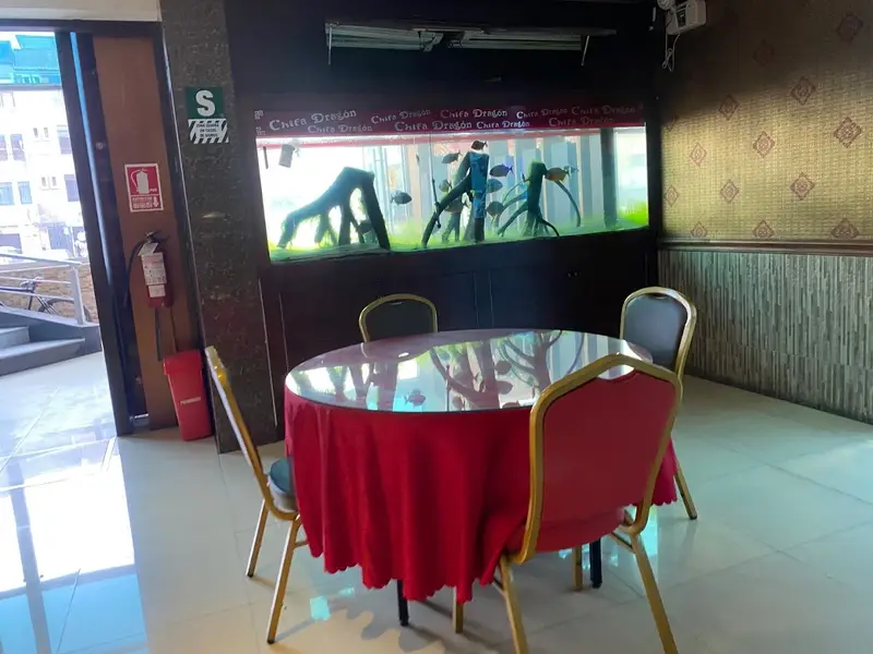 Chifa Dragón Restaurante
