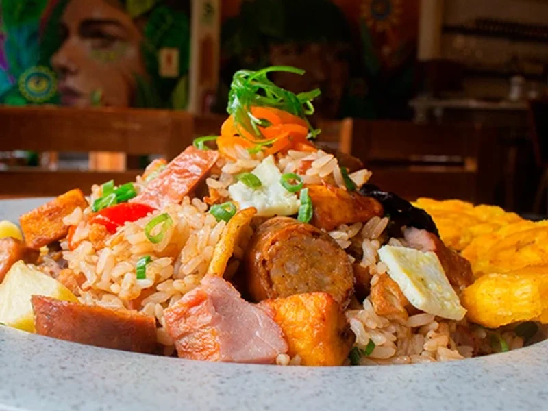 El encanto de la selva - Lince