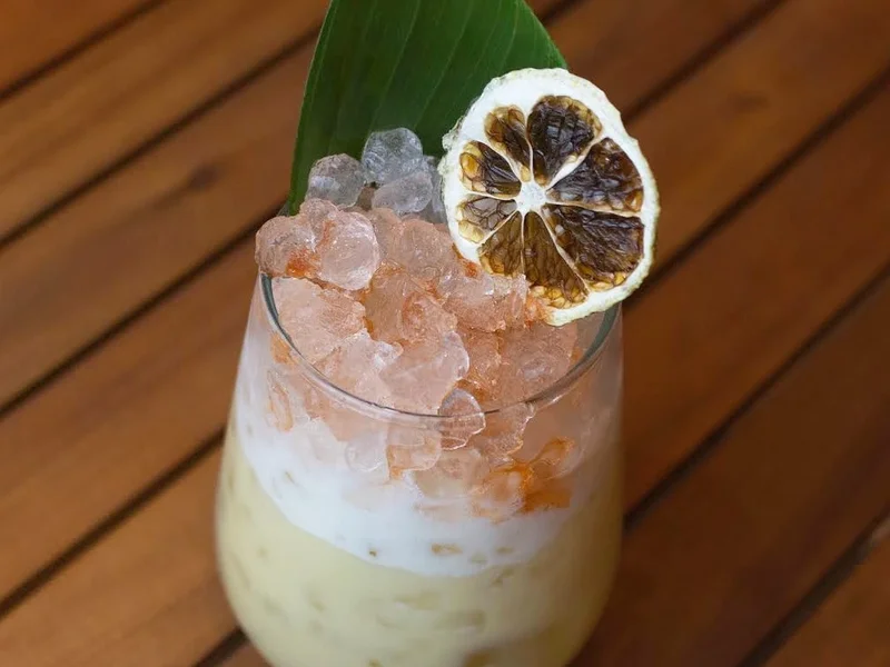 El encanto de la selva - Lince