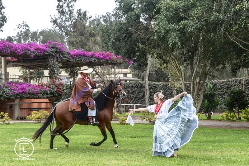 Fundo La Esperanza - Lurín