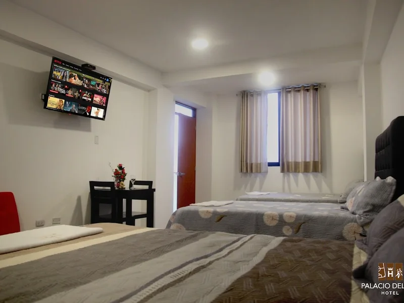 Hotel Palacio del Sur