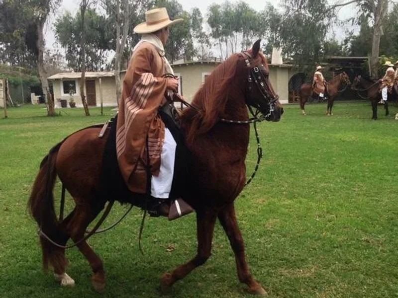 Los Altos de Mamacona