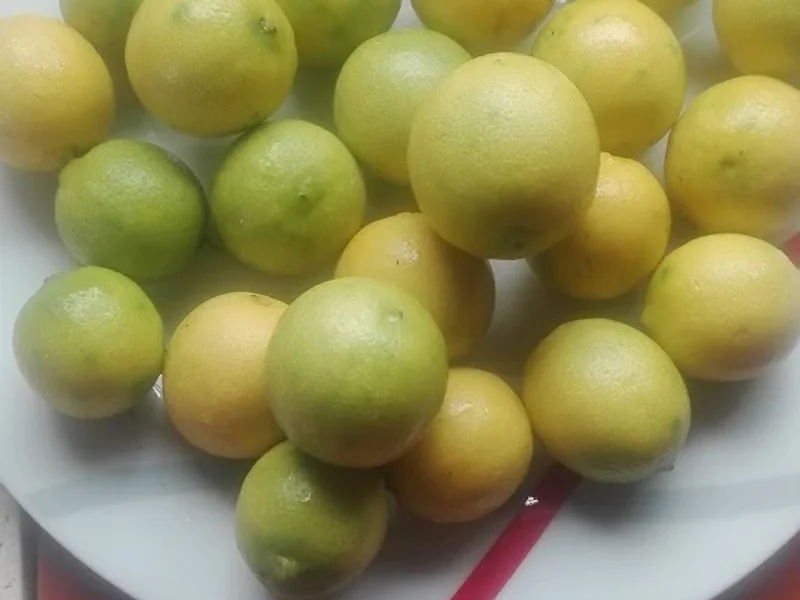 Caminando A La Vida Cieneguilla