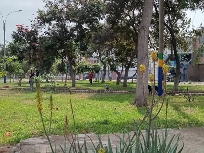 Parque 2 San Martín de Porres
