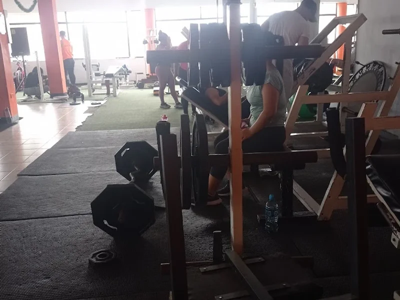 Fitness Evolution Gym