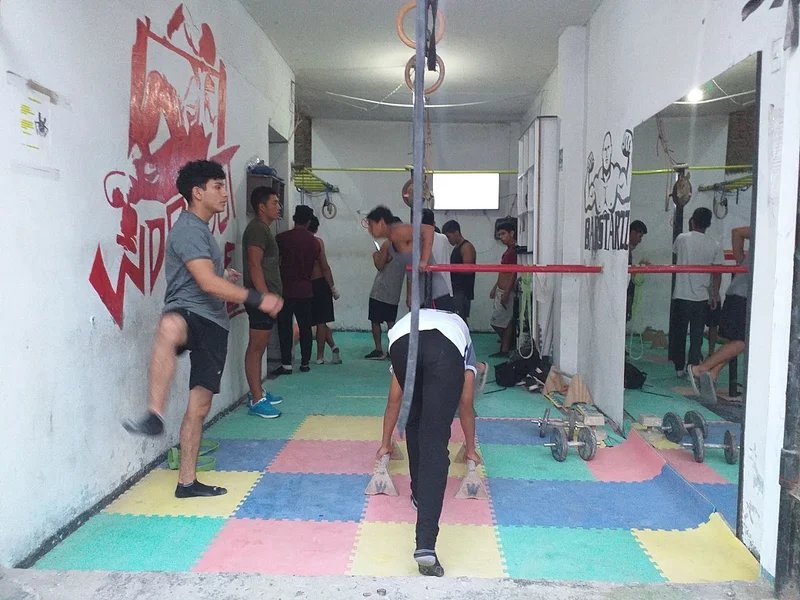 Gimnasio de Calistenia Metalbarzz
