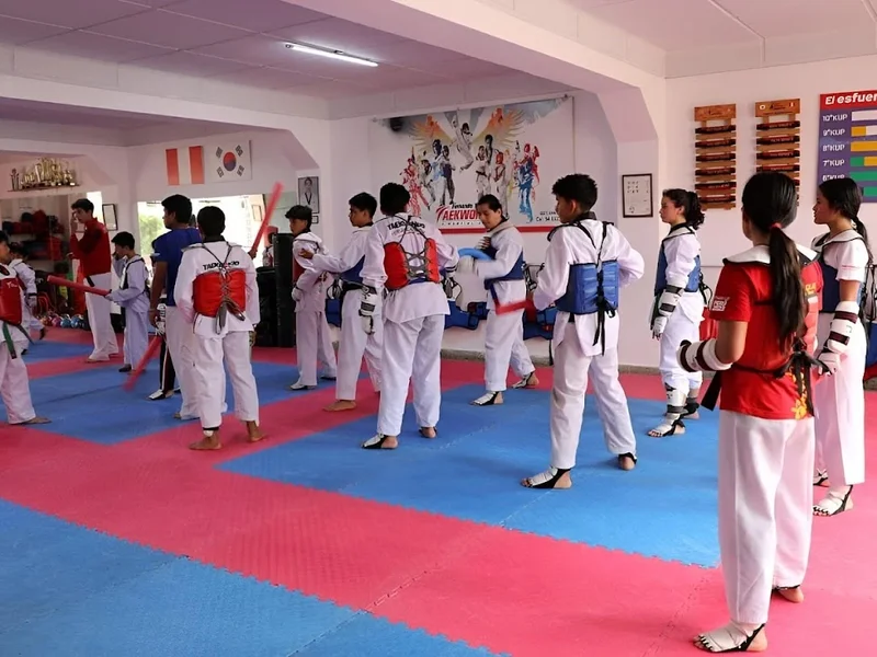 TAE KWON DO FERNANDO YUPANQUI