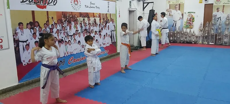 Bushido Karate Club