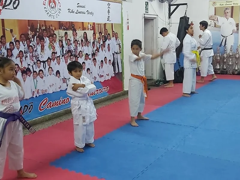 Bushido Karate Club