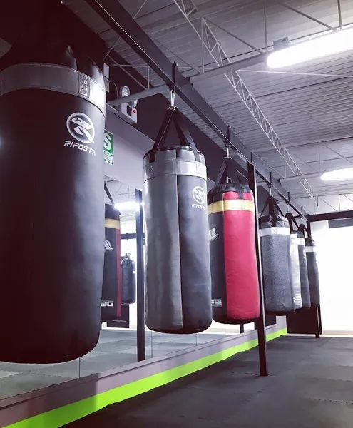 Effectus Boxing Workouts