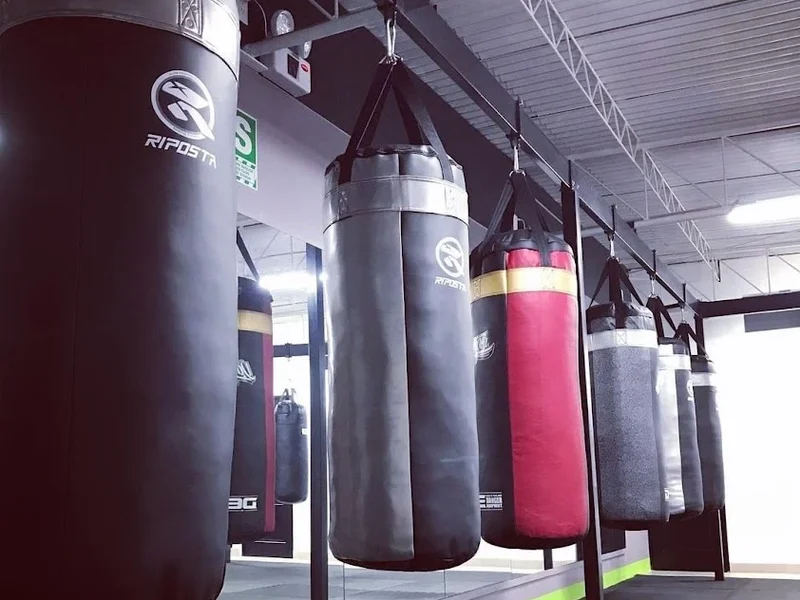 Effectus Boxing Workouts