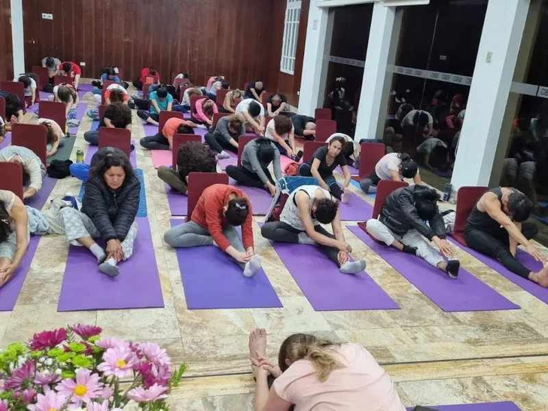 El Arte De Vivir Peru - Yoga, Meditación, Técnicas de Respiración y Ayurveda