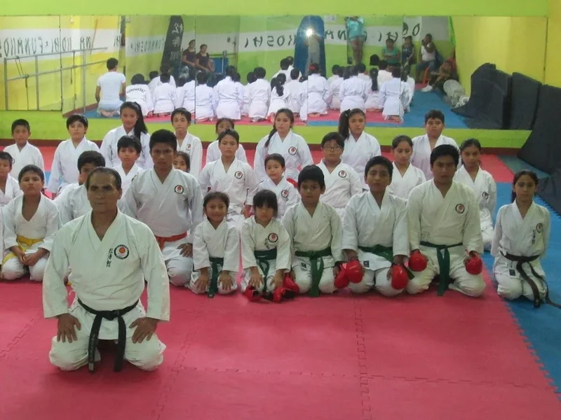 Funakoshi Trujillo - Centro Internacional de Karate y Artes Marciales