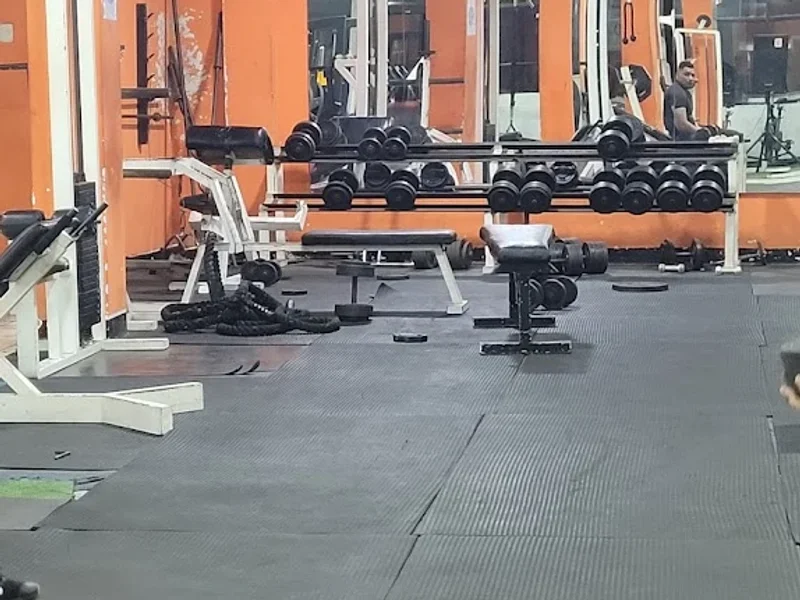 Fitness Evolution Gym