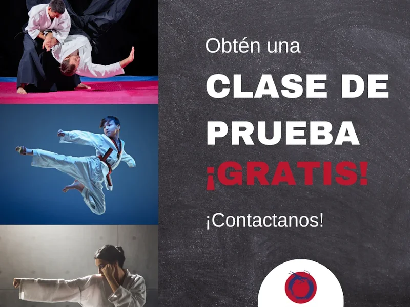 Martial Academy San Borja