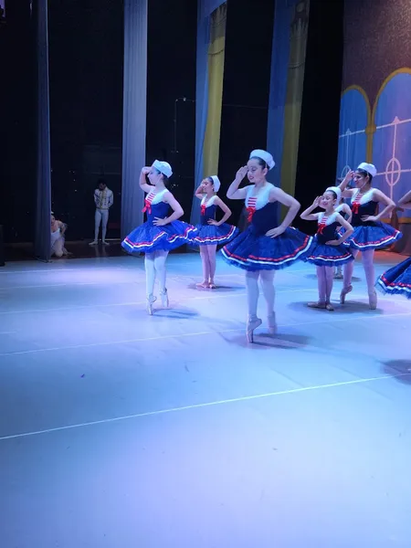 Visión de la Danza , Centro de Arte y ballet