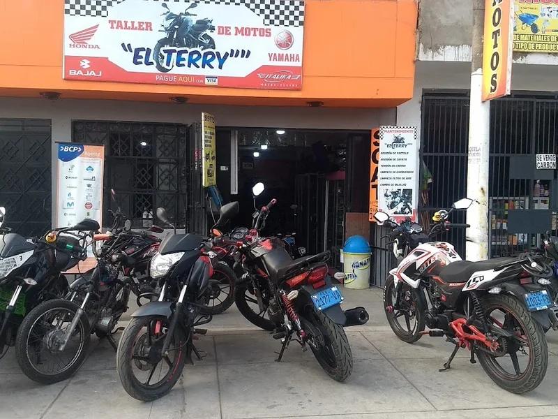 Terrymotors Multimarca