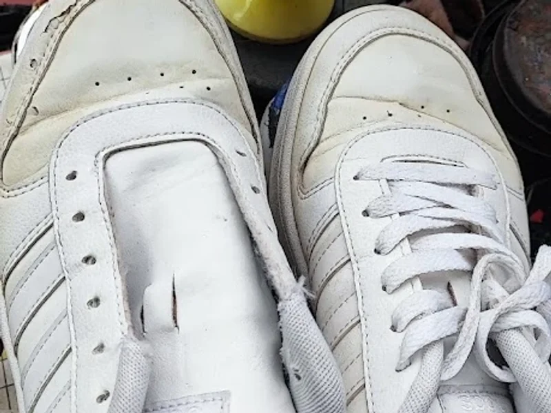 Renovadora de Calzado "El Trome"