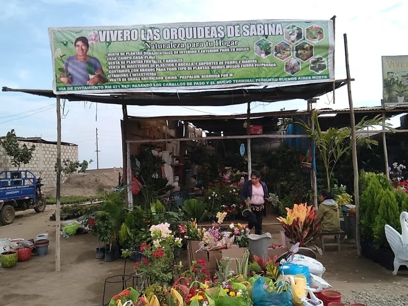 VIVERO DE SABINA - TRUJILLO