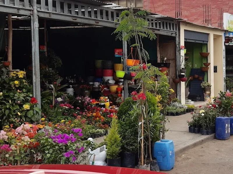 Vivero Las Begonias - Trujillo
