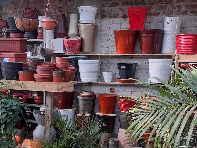 Vivero Las Gardenias Trujillo