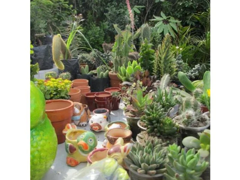 MAX GRASS - JARDINERÍA