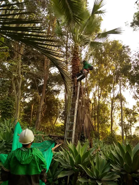 JARDINEROS EN LIMA