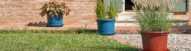 Sustratos para Jardinería, Control de plagas agrícolas, Arbokol para Injertos | Agriplant Perú