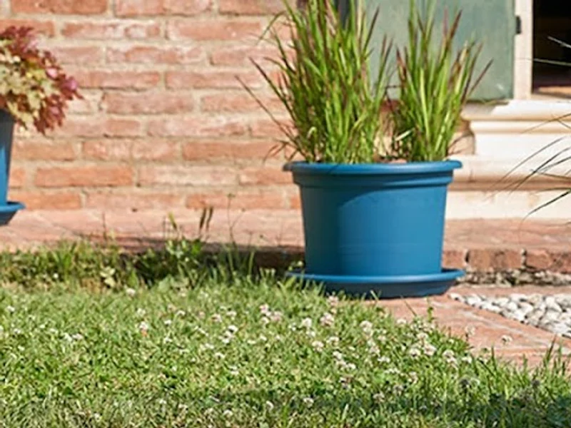 Sustratos para Jardinería, Control de plagas agrícolas, Arbokol para Injertos | Agriplant Perú