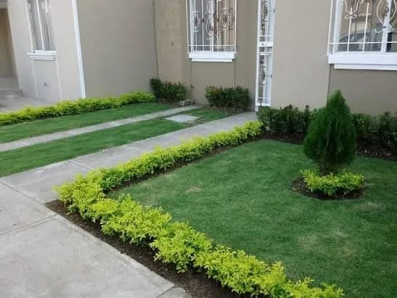 Pro Jardín Empresa de Jardineria y paisajismo