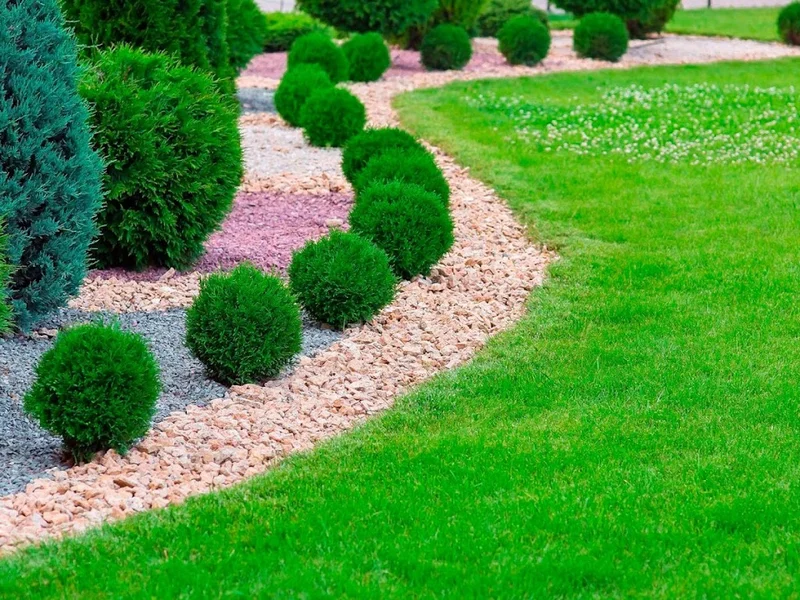 SERVICIOS DE JARDINERÍA JR