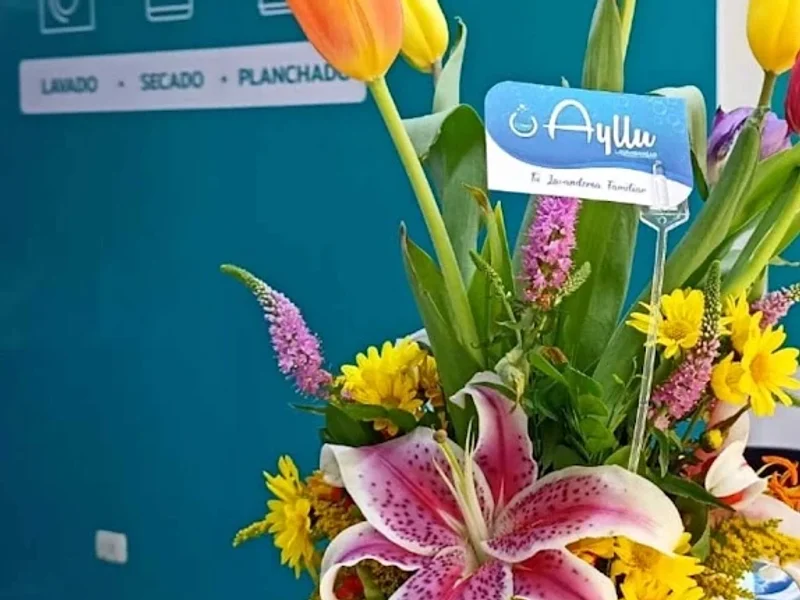 Ayllu Lavanderías
