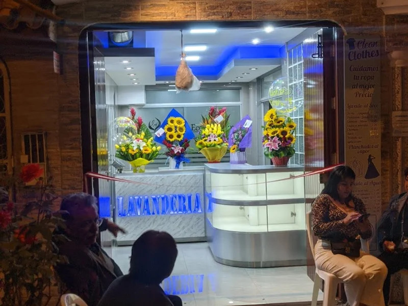 LAVANDERÍA INDUSTRIAL ECO CLEAN S.A.C.