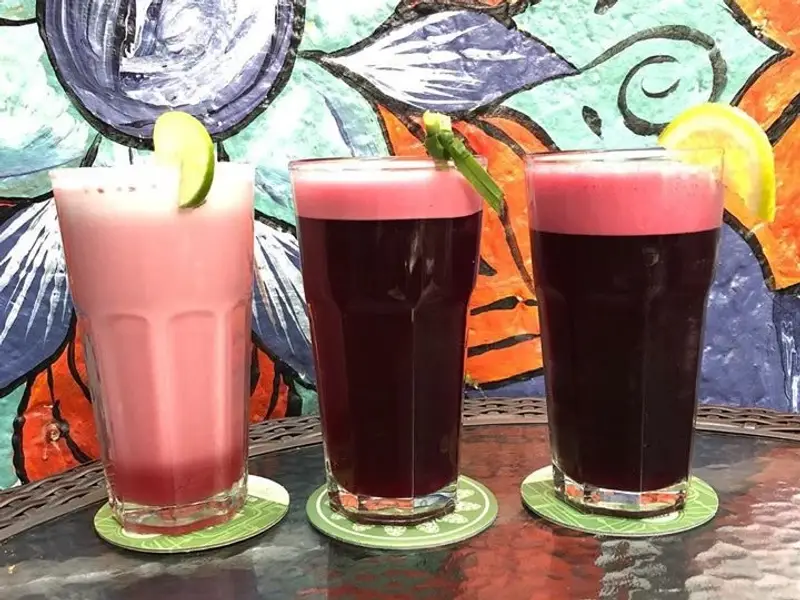 El Jardín De Jazmín