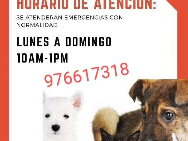 TONYVET & SPA - CLÍNICA VETERINARIA