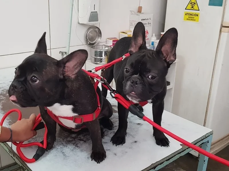 Centro Veterinario y Spa San Martin