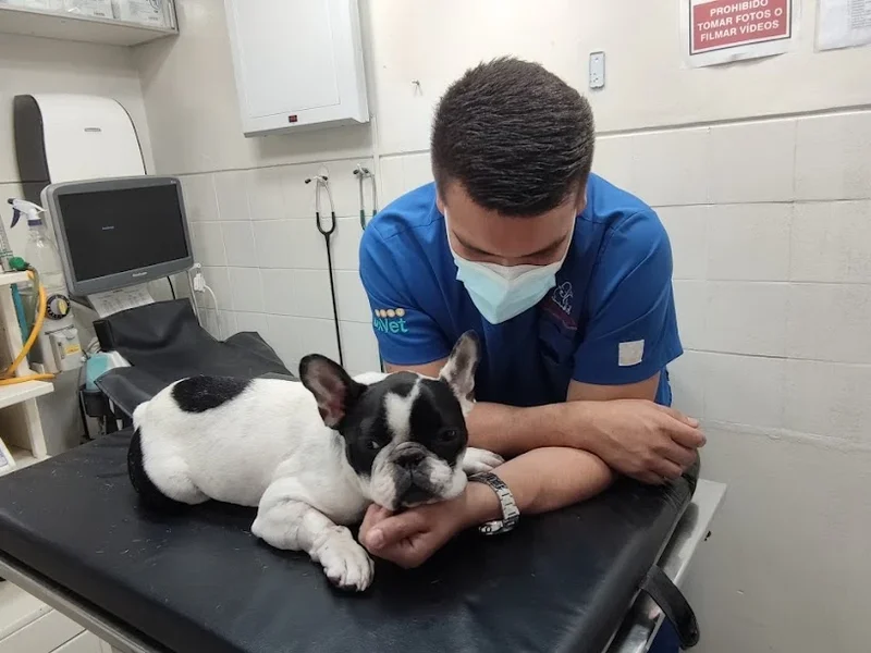 Veterinaria Mi Mascota Trujillo