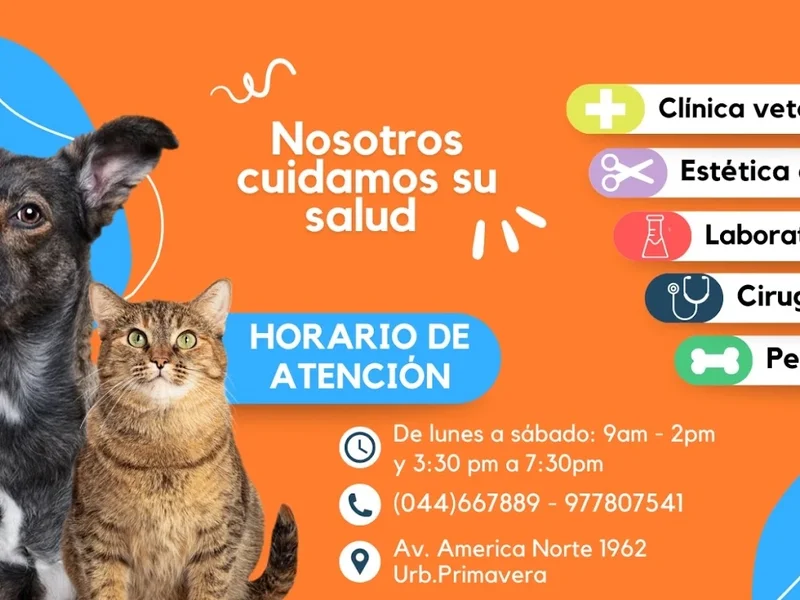 Veterinaria DogFarma