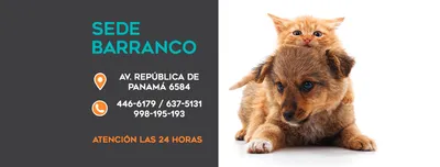 Los 27 clínica veterinaria de Lima