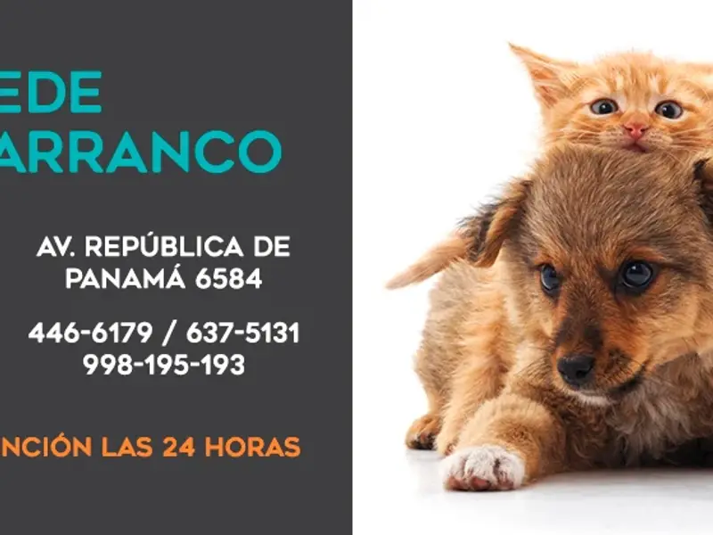 Clínica Veterinaria Pancho Cavero