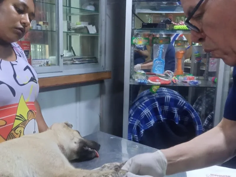 Clinica Veterinaria Francisco Pizarro