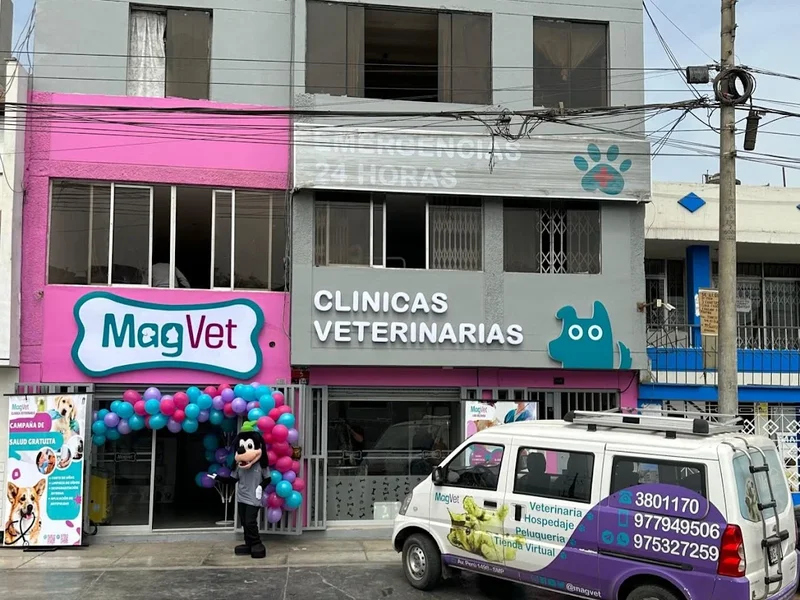 Clínica Veterinaria MagVet
