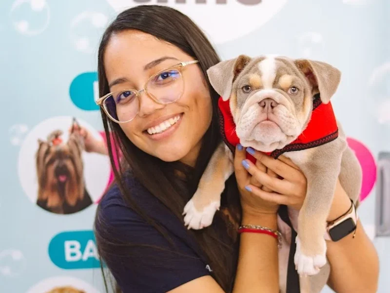 Pet Time Veterinaria