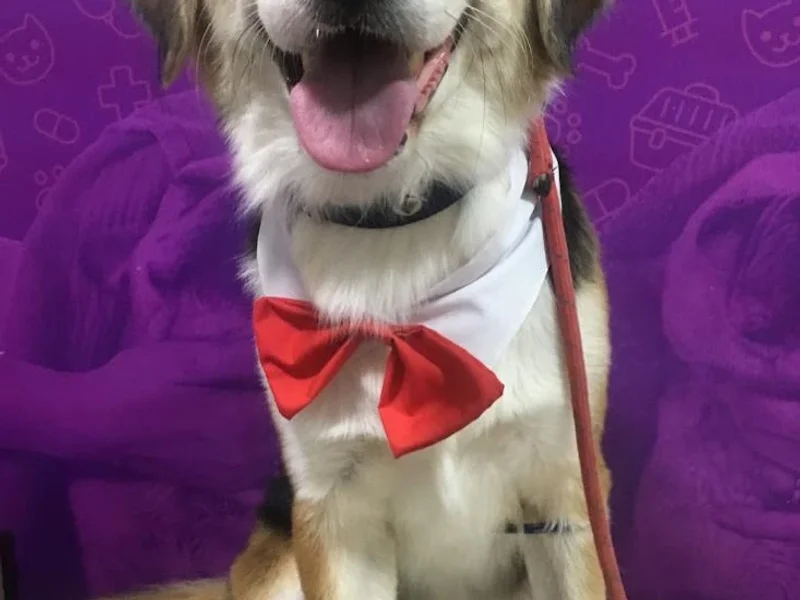 Clínica Veterinaria Esperanza