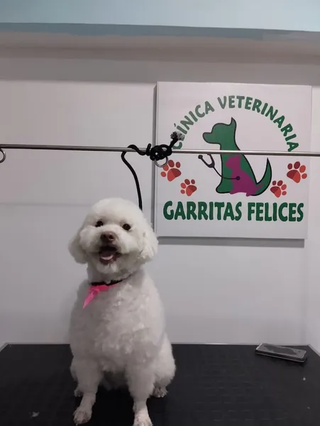 clinica veterinaria GARRITAS FELICES