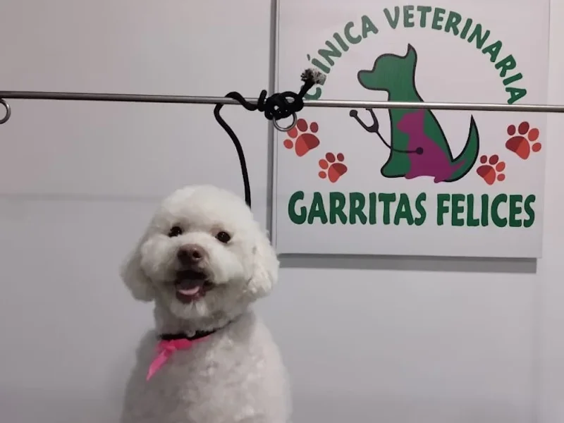 clinica veterinaria GARRITAS FELICES