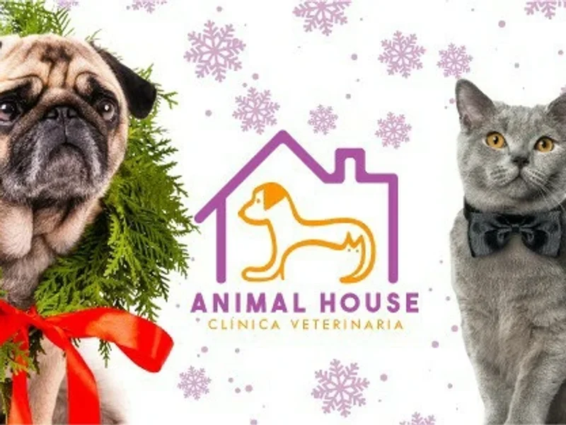 Clinica Veterinaria Animal House
