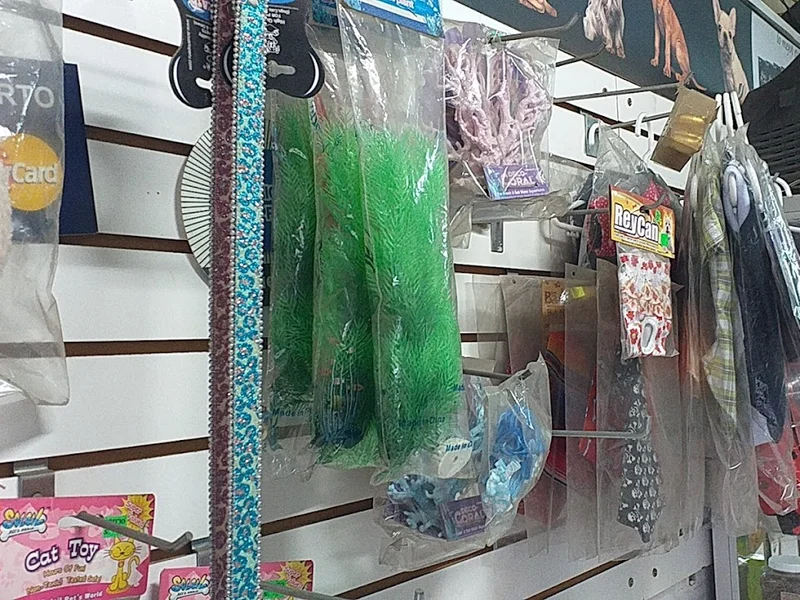 San Vet Clínica Veterinaria