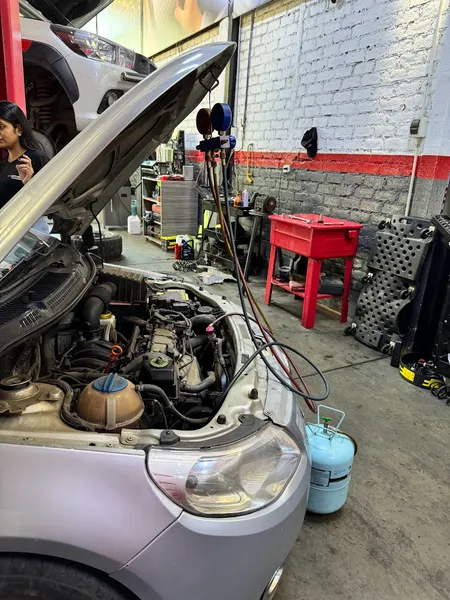 BRAMOTORS Multimarca