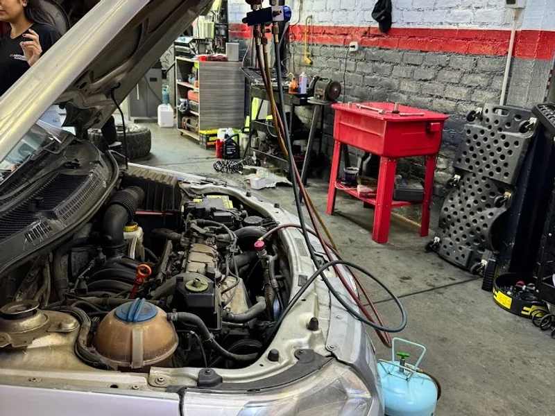 BRAMOTORS Multimarca